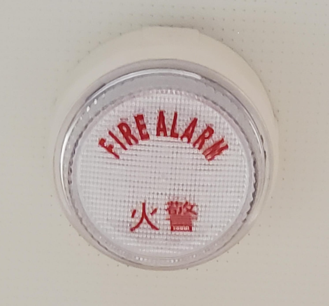 可發出視聽信號的緊急警報系統 (圖 12)