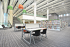 調景嶺公共圖書館(分區圖書館)2