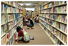 Fu Shan Public Library ( Small Library )2